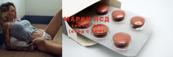 гидра Алексин